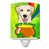 Golden retriever à poils lisses