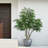 7FT Artificial Willow Tree