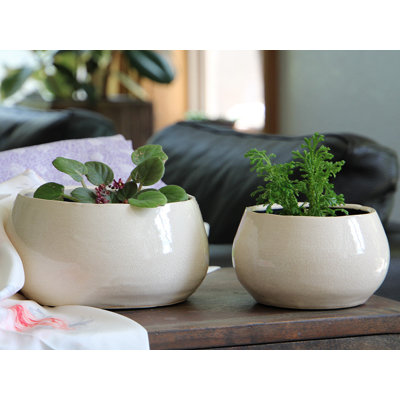 Jewel Freeform Bowl By 