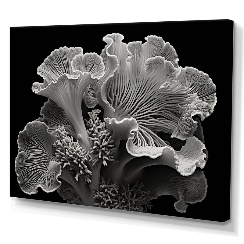 Anémone noire et blanche II - décoration murale plage et océan, Toile tendue, H 24 po x l 32 po