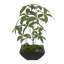 Faux Plant in Metal Pot