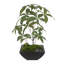 Faux Tree in Pot