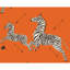 Zebras Animal Print Vinyl Wallpaper Roll-45003047