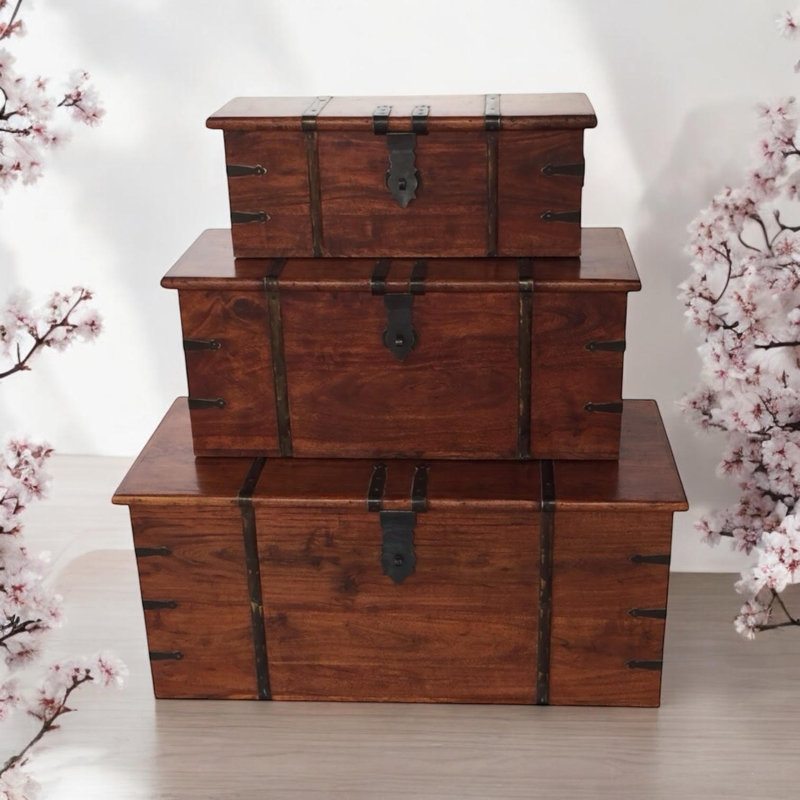 Dilly Trunk Set