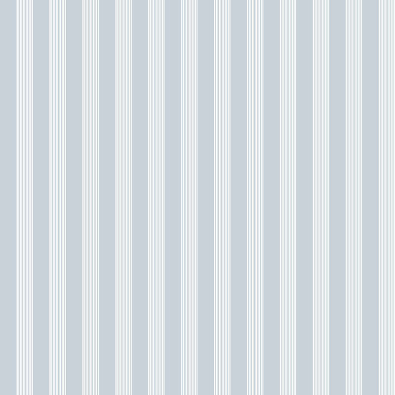 Nerijus Little Explorers 2 Vertical Ribbon Wallpaper Roll, Blue