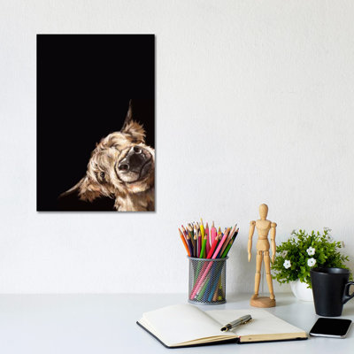 Sneaky Highland Cow In Black by Big Nose Work - Wrapped Canvas Print