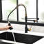 Robinet pour robinet de cuisine avec robinet à évier rétractable noir et doré hygiénique-777038971