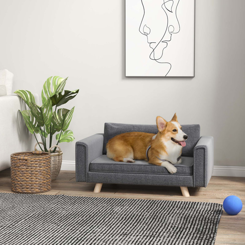 Canapé pour chien surélevé Kedzie