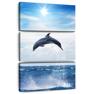 Dauphin volant Brampt