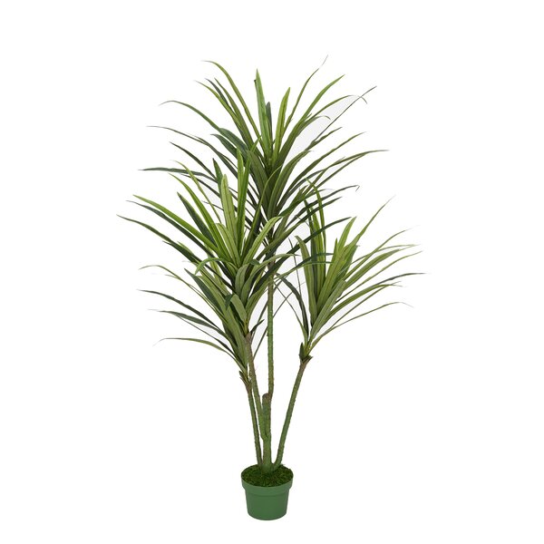 Primrue Faux Dracaena Tree in Planter & Reviews | Wayfair