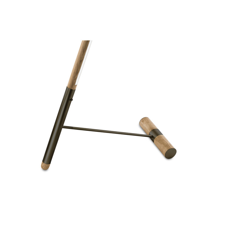 Linea 59.1'' LED Novelty Floor Lamp, Graphite, Oak