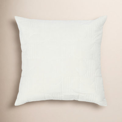 Genesta 20" x 20" Cotton Pillow Cover
