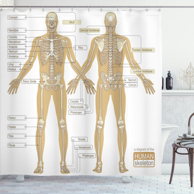 Mixed Shower Curtain with Hooks Included