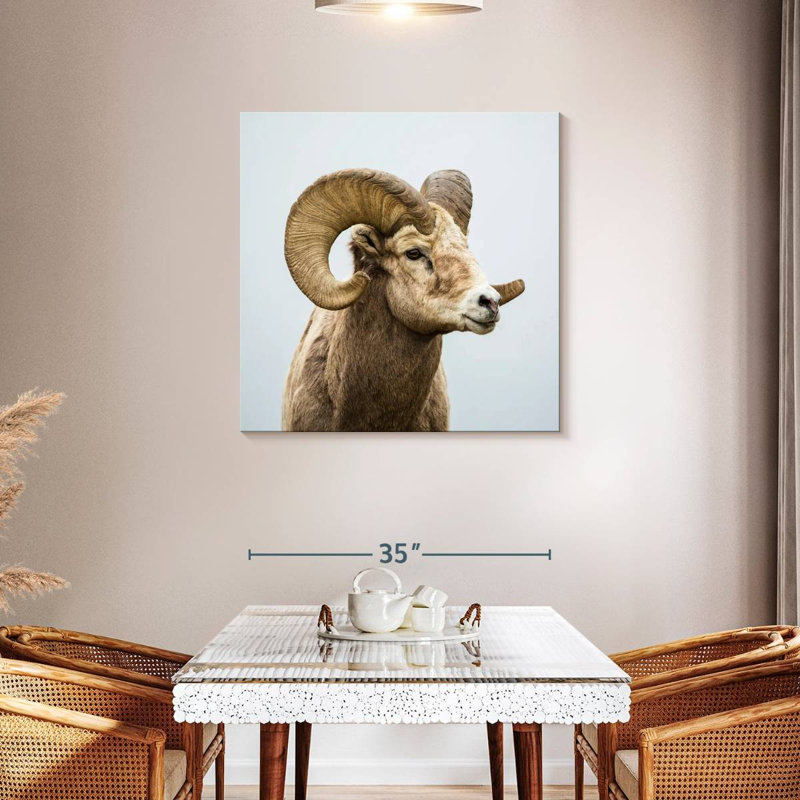 Mouflon solitaire, H 36 po x l 36 po
