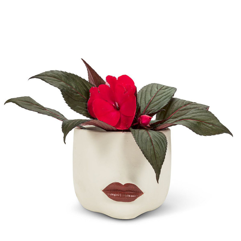 Pot Planter, 5" H x 4" W x 4" D