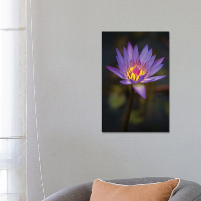 Bloom 1 Piece Wrapped Canvas Wall Art