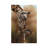 Giraffes by Richard Macwee - Wrapped Canvas Gallery-Wrapped Canvas Giclée-1249812808