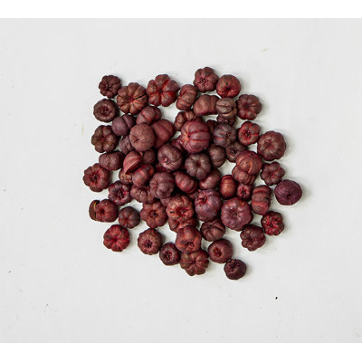 Dosettes de citrouille miniatures naturelles, 3/4 po, boîte de 2 lb, 1 lb correspond à 16 tasses