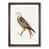 Walnut Framed selected