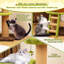  56" Tall Cat Tower With Mushroom-shaped Nest Condo Climbing Ladder Teasing Ball 