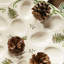 Spode Christmas Tree Devilled Egg Dish 13"