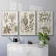 Sépia Botanical Journal VI 3 pièces-97711689-97711691
