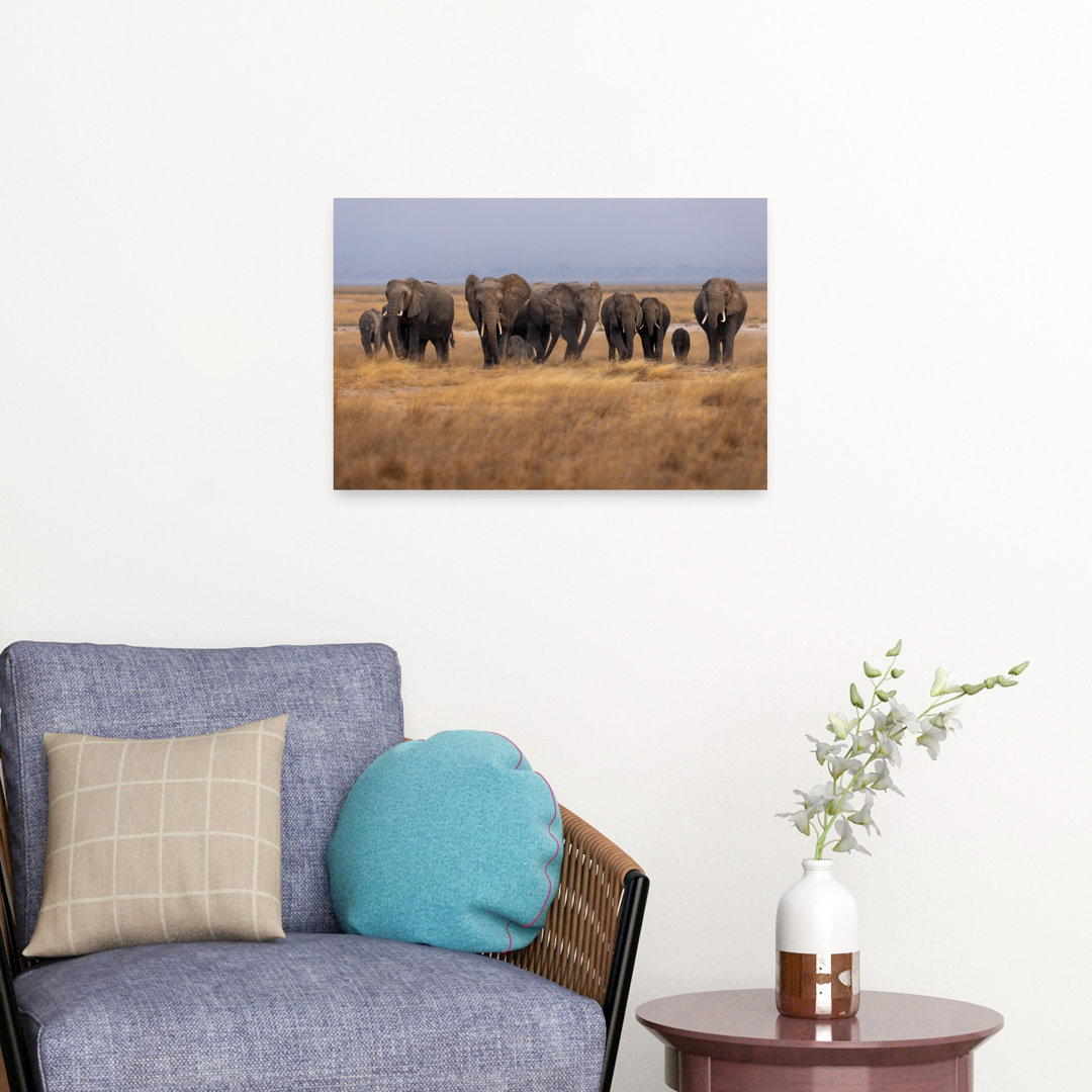 Majestic Elephant Family Contemporary Elephant Nature Wildlife Wall Art Print
