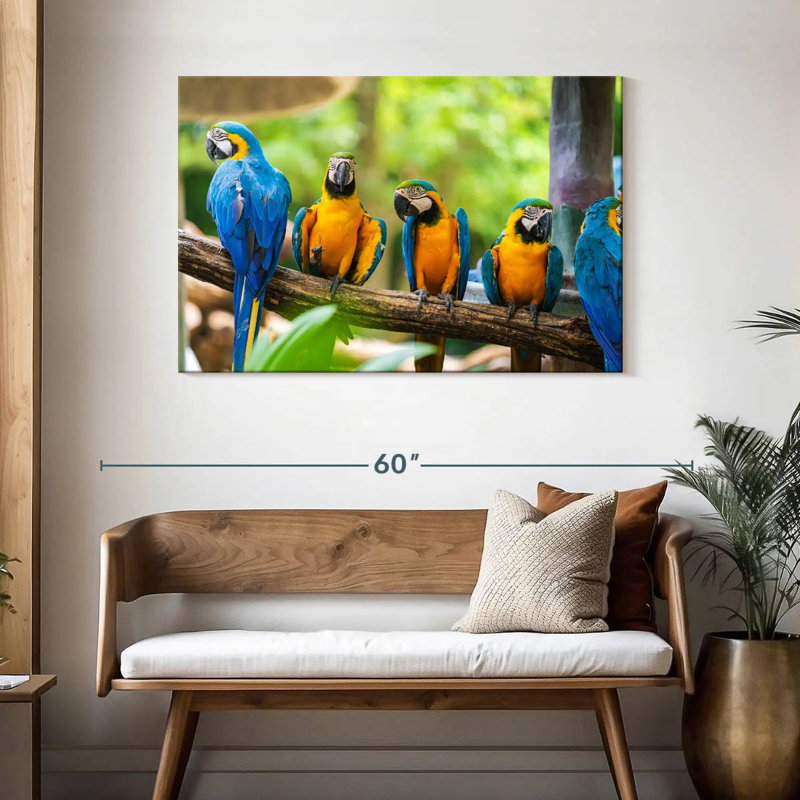 Brampt Macaw Party, 30" H x 45" W