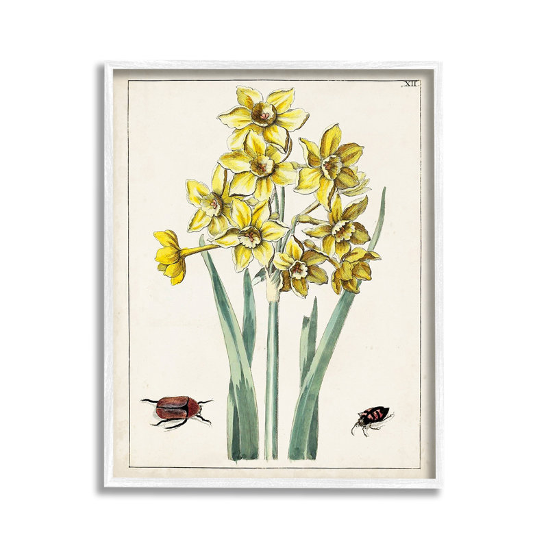 Coléoptères avec jonquilles, Giclée encadrée blanc bord de mer, H 14 po x l 11 po
