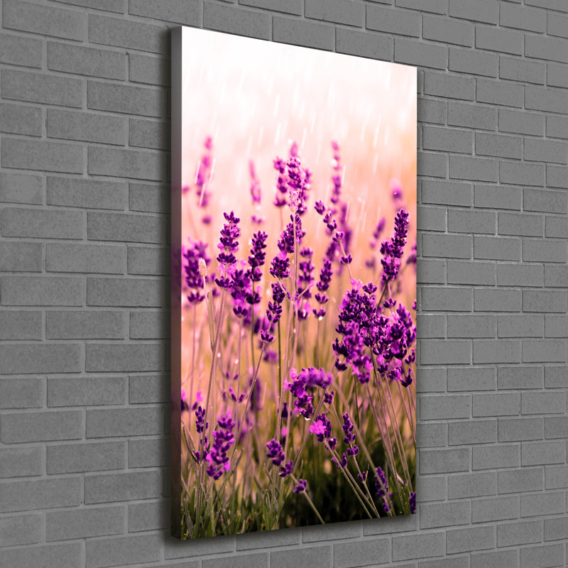 Lavender Field - Wrapped Canvas Print