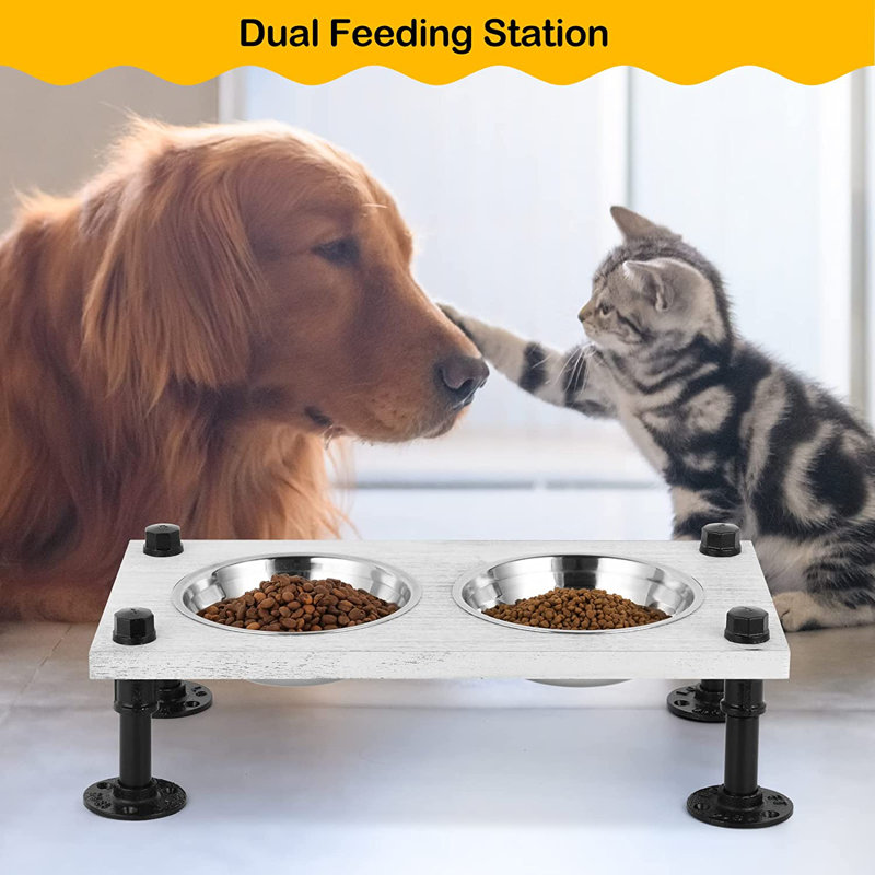 Anti-Skid Elevated Feeder, White