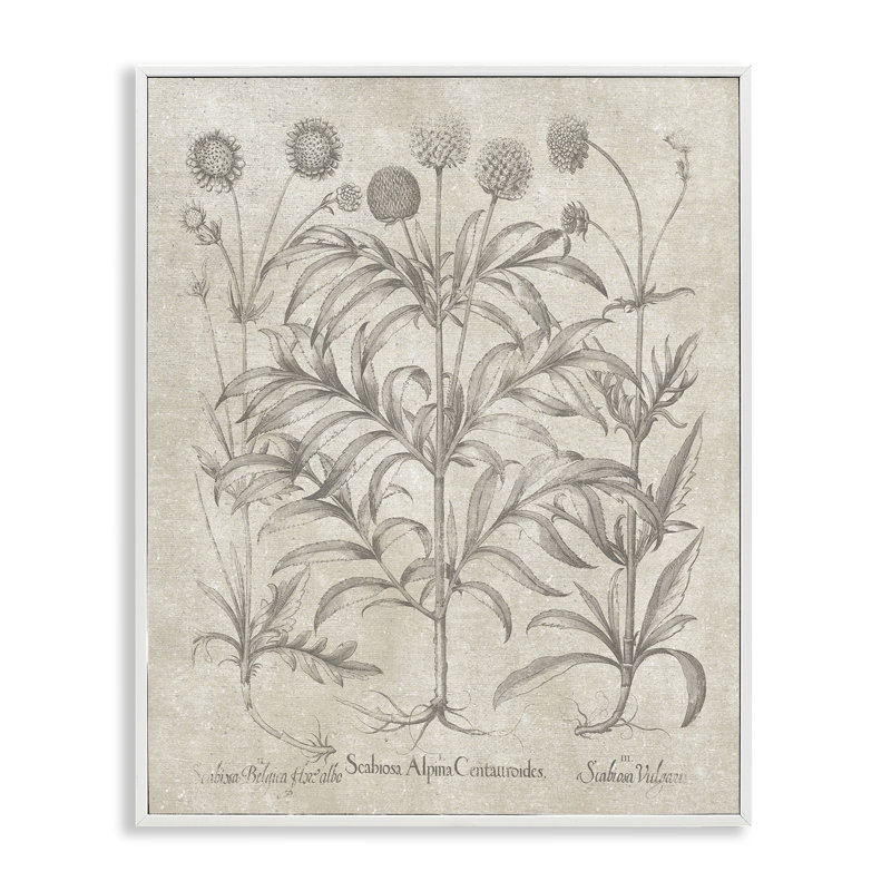 Art rétro de giclée encadrée par Planted, Estampe numérique encadrée blanc bord de mer, H 14 po x l 11 po
