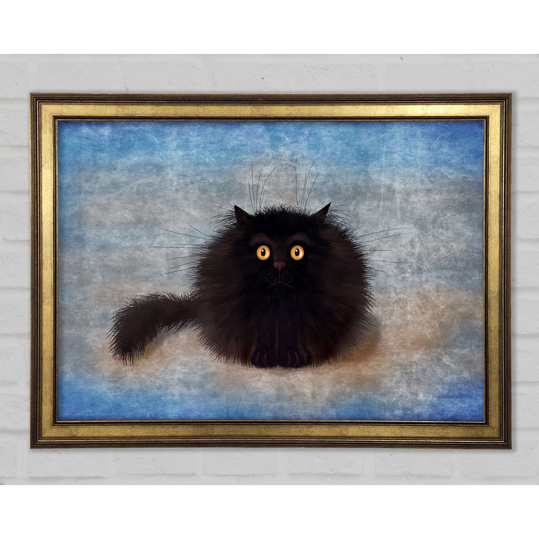 Black Fuzzy Cat - Einzelner Bilderrahmen Kunstdrucke