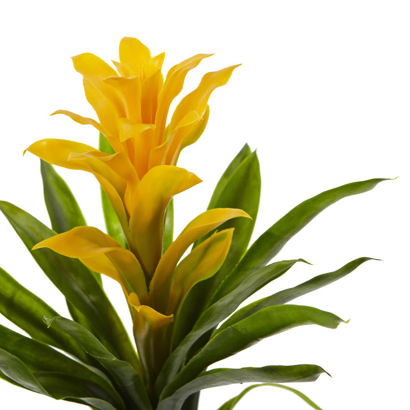 Ensemble de 4 plantes à floraison artificielle Bromeliad, Jaune
