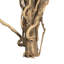 Faux Medusa Branch