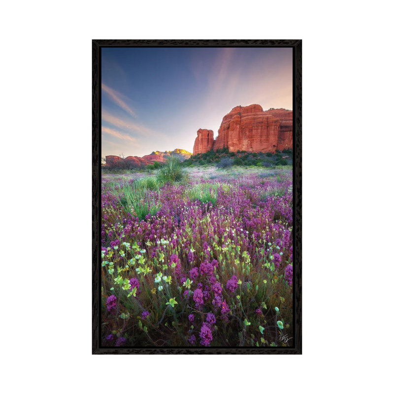 Red Rock Spring by Peter Coskun - Floater Frame Print on Canvas, Black Framed Canvas, 66.04 cm H x 45.72 cm W