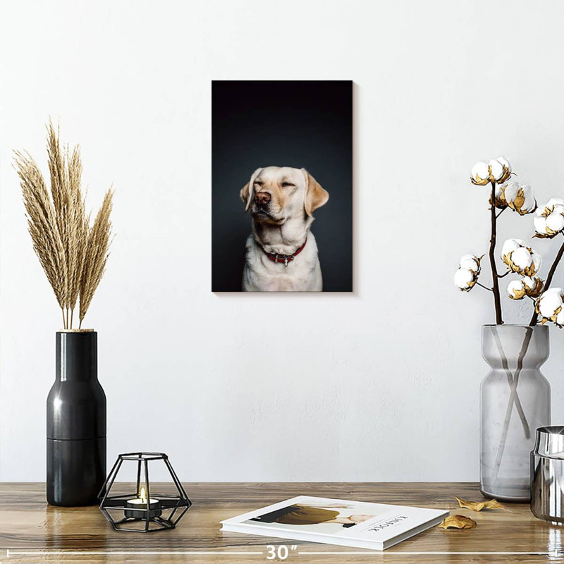 Brampt loufoque le Labrador, H 12 po x l 8 po