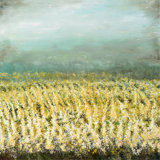 Golden Fields Print by Beverly Fuller