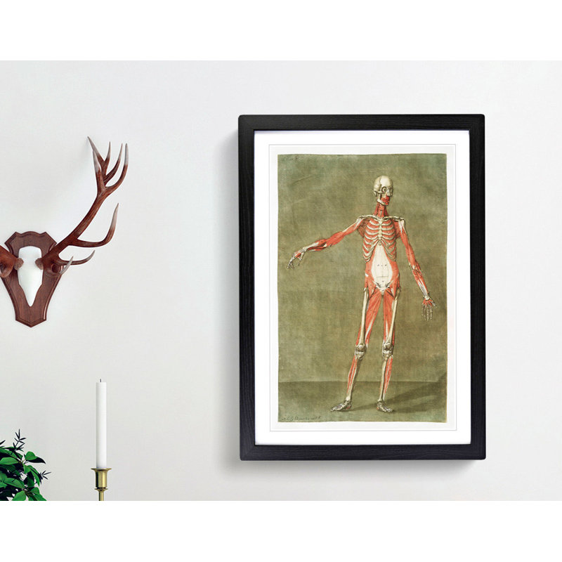 Anatomical Illustration of a Male No. 3 by Gautier-Dagoty - Picture Frame Painting Print, 36cm H x 27cm W x 2cm D