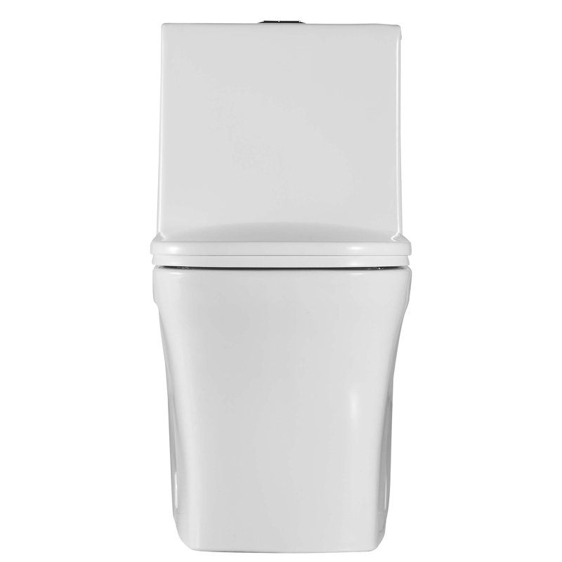 Dual-Flush One-Piece Toilet (Seat Included), White