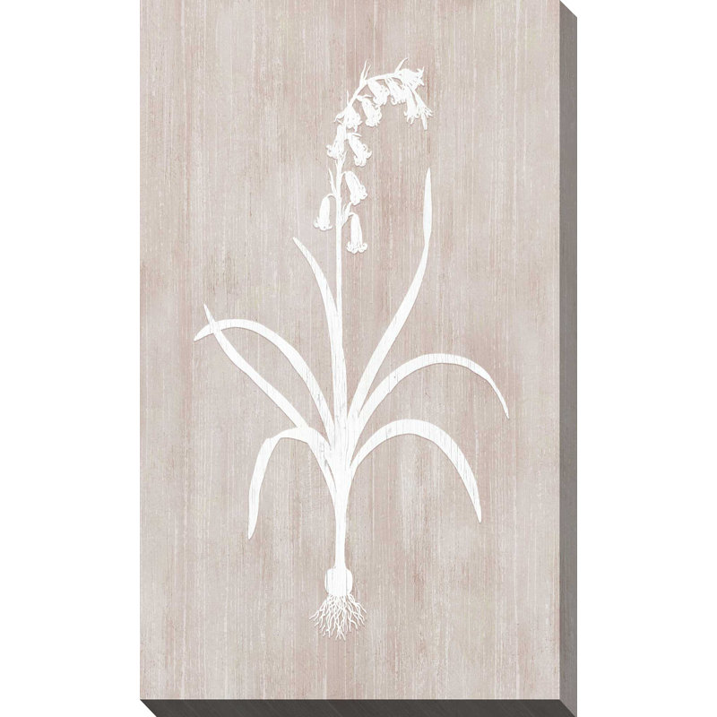 Botany Beauty I - Peinture, L 18 po x H 30 po, Toile tendue