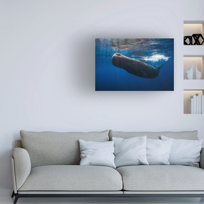 Barathieu Gabriel Sperm Whale Canvas Art