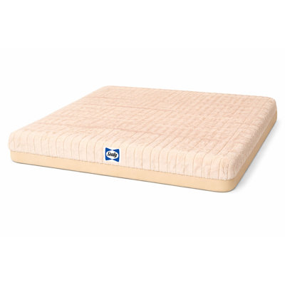 Sealy Memory Foam Crate Mat, Tan, S