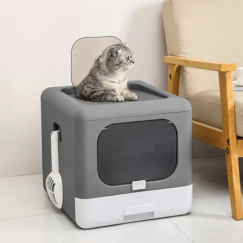 Litter Box
