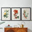 Turpin Tropical Botanicals VI - reproduction sur mesure encadrée de qualité supérieure - 3 pièces-1603302473-1603302475