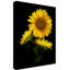 "Tournesol 3" par Dosta, impression sur toile tendue-29225252