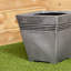 Samuel Alexander Pot Planter