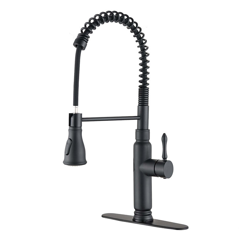 Robinet de cuisine rétractable à poignée simple avec accessoires, Noir mat