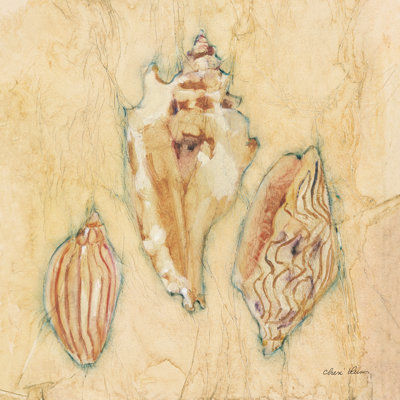 Shells I by Cheri Blum