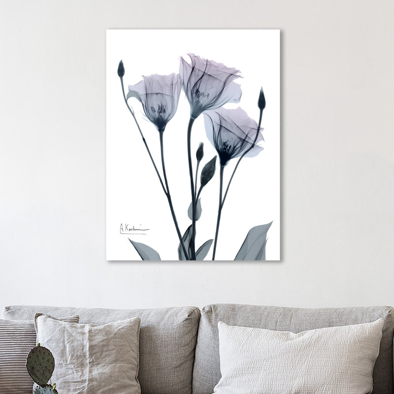 Midnight Gentian I - Wrapped Canvas Print, 122cm H x 122cm W